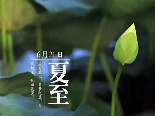 夏至快乐吃瓜视频,跟随快乐吃瓜视频，感受夏日清凉时光