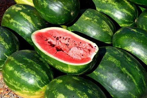 吃瓜唯美视频素材下载安装,唯美视频素材下载与安装指南 吃瓜唯美视频素材下载安装,唯美视频素材下载与安装指南