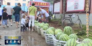 沙河吃瓜真实的视频,一场视觉盛宴的狂欢 沙河吃瓜真实的视频,一场视觉盛宴的狂欢