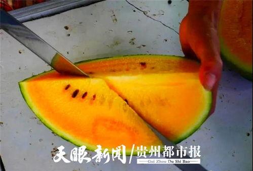 贵阳吃瓜爆料视频,揭秘本地热点事件 贵阳吃瓜爆料视频,揭秘本地热点事件