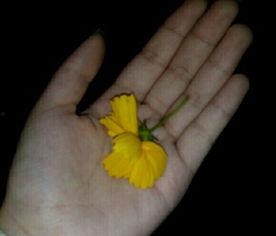 吃瓜群众搞怪视频素材大全