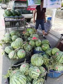 石棉县吃瓜事件视频最新