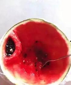 战斗民族吃瓜视频